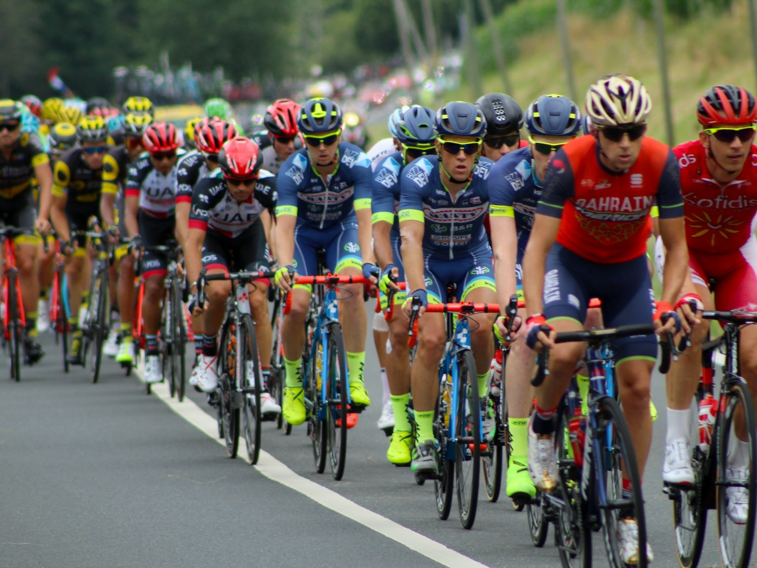 people riding on road bikes during daytime